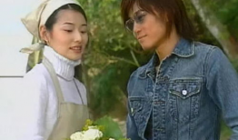 薰衣草电视剧主题曲,浪漫时光里的青春记忆